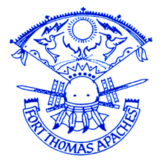 FTUSD Logo